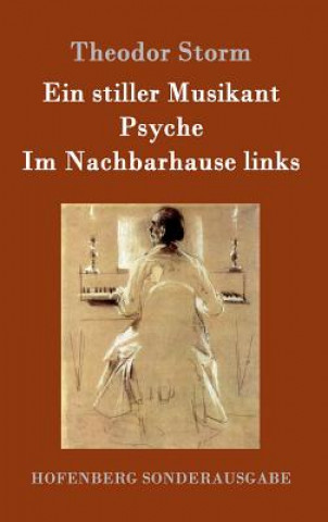 Kniha Ein stiller Musikant / Psyche / Im Nachbarhause links Theodor Storm