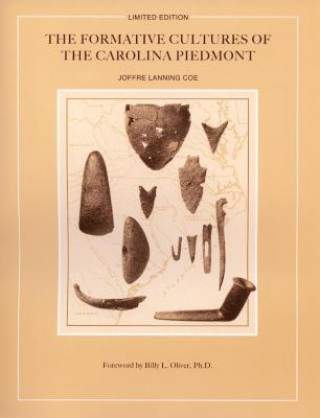 Buch Formative Cultures of the Carolina Piedmont Joffre Lanning Coe