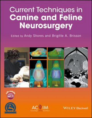 Kniha Current Techniques in Canine and Feline Neurosurgery Andy Shores