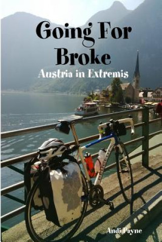 Книга Going for Broke Andi Payne