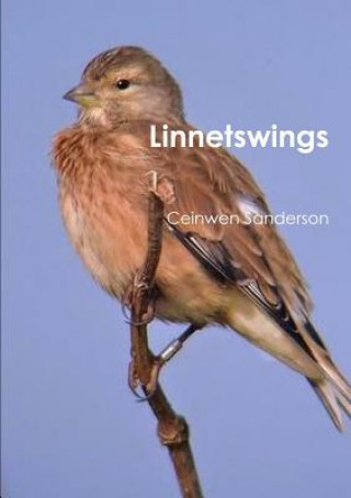 Knjiga Linnetswings Ceinwen Sanderson