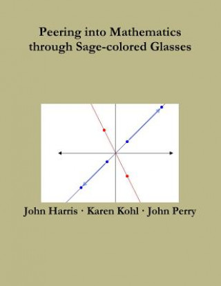 Libro Peering into Mathematics Through Sage-Colored Glasses John Perry
