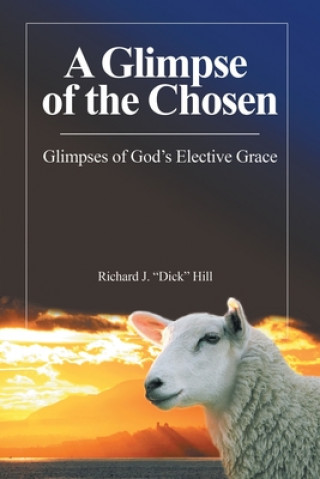 Knjiga Glimpse of the Chosen Richard J. Hill