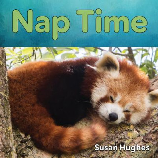 Kniha Nap Time Hughes