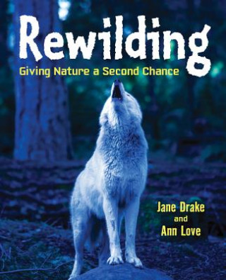 Könyv Rewilding Love