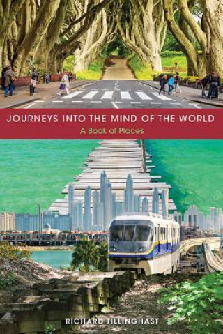 Livre Journeys into the Mind of the World Richard Tillinghast