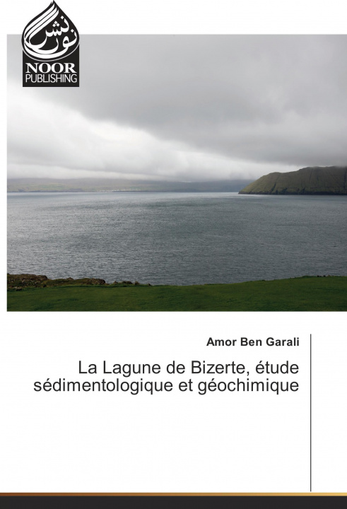 Kniha La Lagune de Bizerte, étude sédimentologique et géochimique Amor Ben Garali