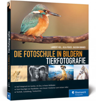 Kniha Die Fotoschule in Bildern. Tierfotografie Lambert Heil