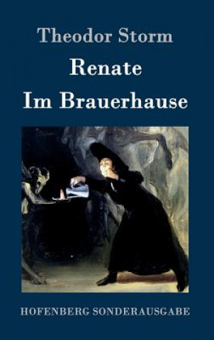 Knjiga Renate / Im Brauerhause Theodor Storm