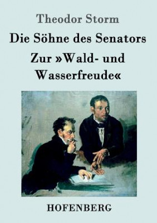 Kniha Soehne des Senators / Zur Wald- und Wasserfreude Theodor Storm