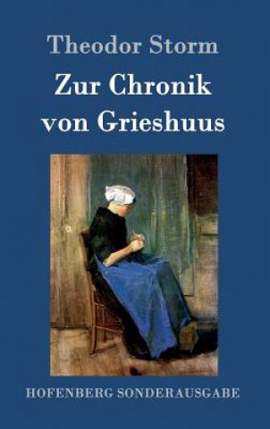 Kniha Zur Chronik von Grieshuus Theodor Storm