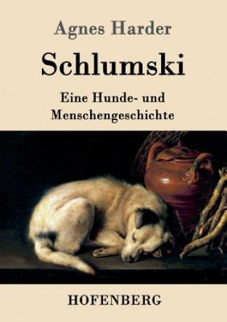 Buch Schlumski Agnes Harder
