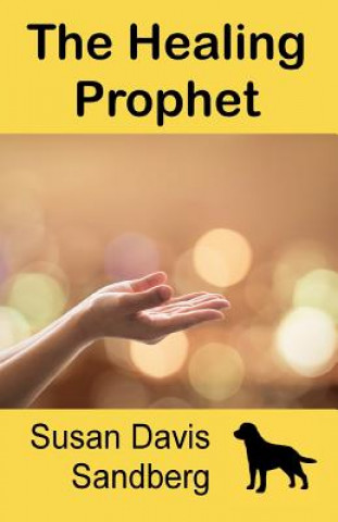 Libro HEALING PROPHET Susan Davis Sandberg