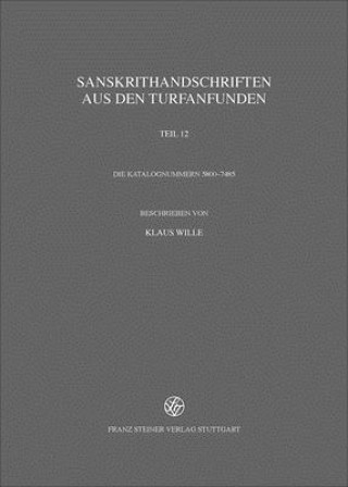 Carte Sanskrithandschriften aus den Turfanfunden Klaus Wille-Peters
