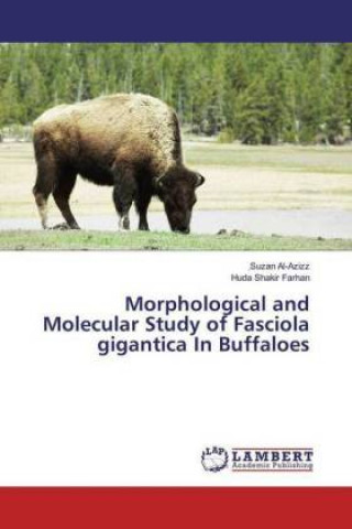 Książka Morphological and Molecular Study of Fasciola gigantica In Buffaloes Suzan Al-Azizz