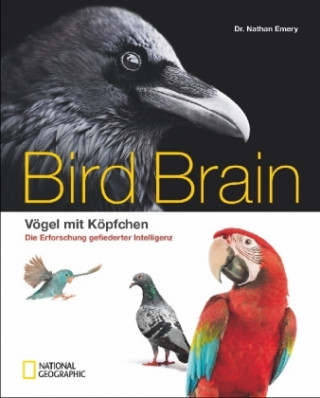 Carte Bird Brain Nathan Emery