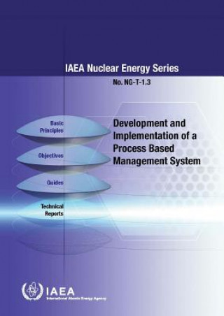 Könyv Development and implementation of a process based management system International Atomic Energy Agency