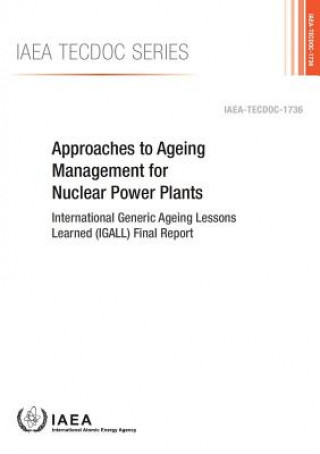 Libro Approaches to ageing management for nuclear power plants International Atomic Energy Agency