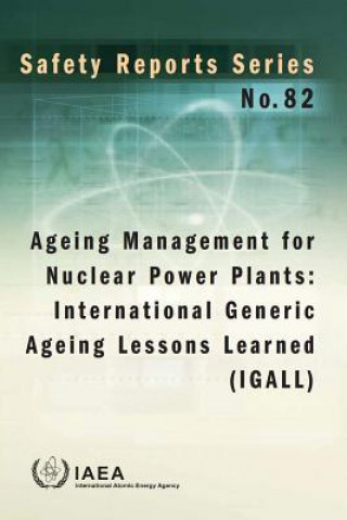 Kniha Ageing management for nuclear power plants International Atomic Energy Agency