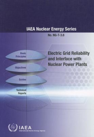 Könyv Electric grid reliability and interface with nuclear power plants International Atomic Energy Agency