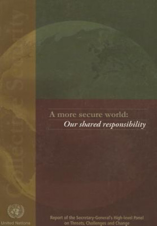 Carte More Secure World, A United Nations