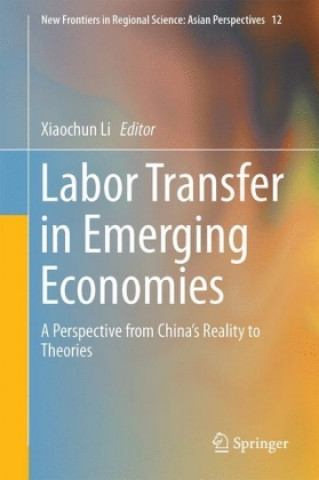 Könyv Labor Transfer in Emerging Economies Xiaochun Li