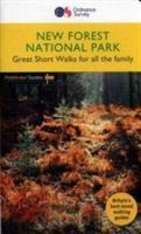Carte New Forest National Park David Foster