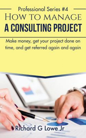 Kniha How to Manage a Consulting Project Richard G Lowe Jr