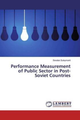 Kniha Performance Measurement of Public Sector in Post-Soviet Countries Savalan Suleymanli