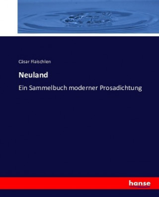 Book Neuland Cäsar Flaischlen