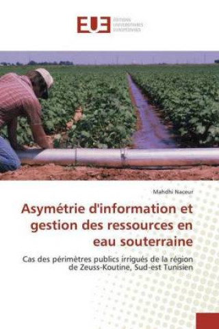 Książka Asymétrie d'information et gestion des ressources en eau souterraine Mahdhi Naceur