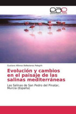 Книга Evolución y cambios en el paisaje de las salinas mediterráneas Gustavo Alfonso Ballesteros Pelegrín