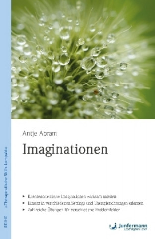Book Imaginationen Antje Abram