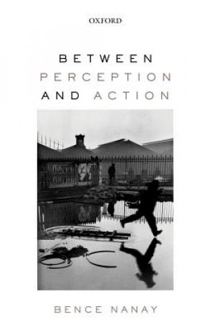 Kniha Between Perception and Action Bence Nanay