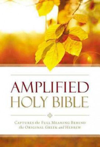 Carte Amplified Outreach Bible Zondervan