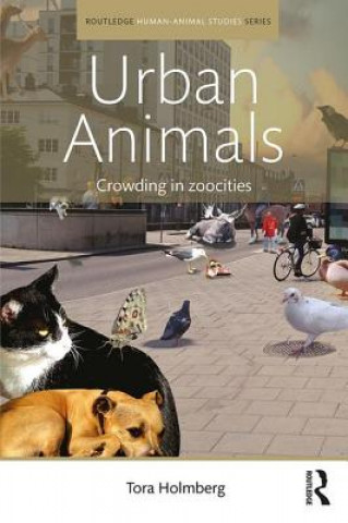 Carte Urban Animals HOLMBERG