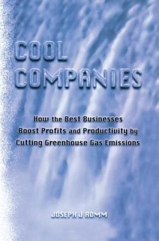 Kniha Cool Companies ROMM
