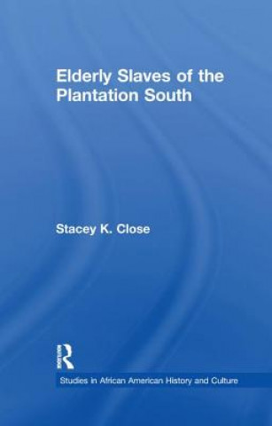 Книга Elderly Slaves of the Plantation South CLOSE