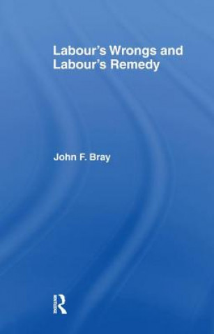 Könyv Labour's Wrongs and Labour's Remedy BRAY