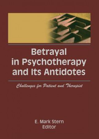 Kniha Betrayal in Psychotherapy and Its Antidotes STERN