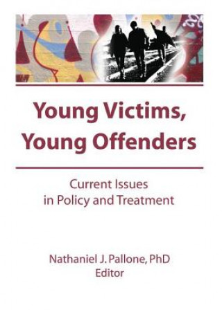 Livre Young Victims, Young Offenders PALLONE