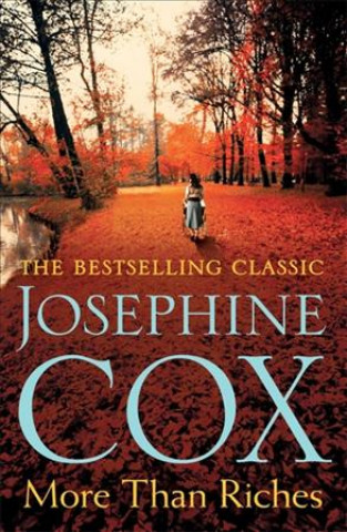 Carte More than Riches Josephine Cox