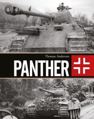 Книга Panther ANDERSON THOMAS