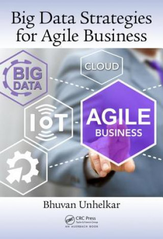 Kniha Big Data Strategies for Agile Business Bhuvan Unhelkar