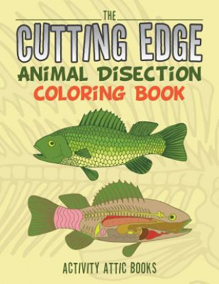 Knjiga Cutting Edge ACTIVITY ATTIC BOOKS