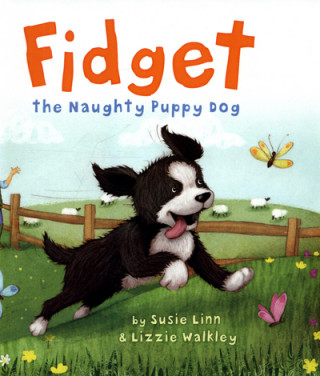 Książka Fidget Susie Linn
