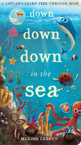 Kniha Down Down Down in the Sea Jonathan Litton