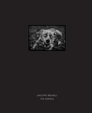 Könyv Animals GIACOMO BRUNELLI