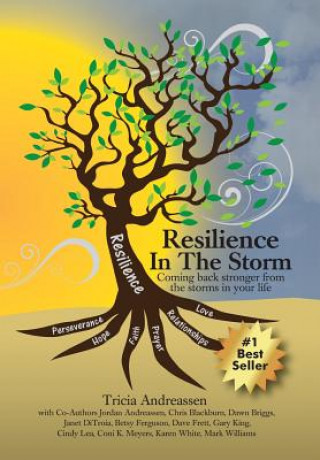 Kniha Resilience In The Storm TRICIA ANDREASSEN