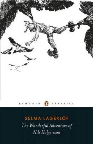 Kniha Wonderful Adventure of Nils Holgersson Selma Lagerlof
